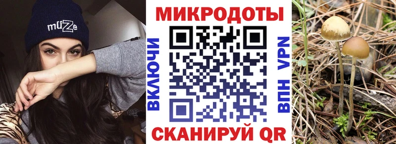 гидра ссылка  Морозовск  Псилоцибиновые грибы GOLDEN TEACHER 